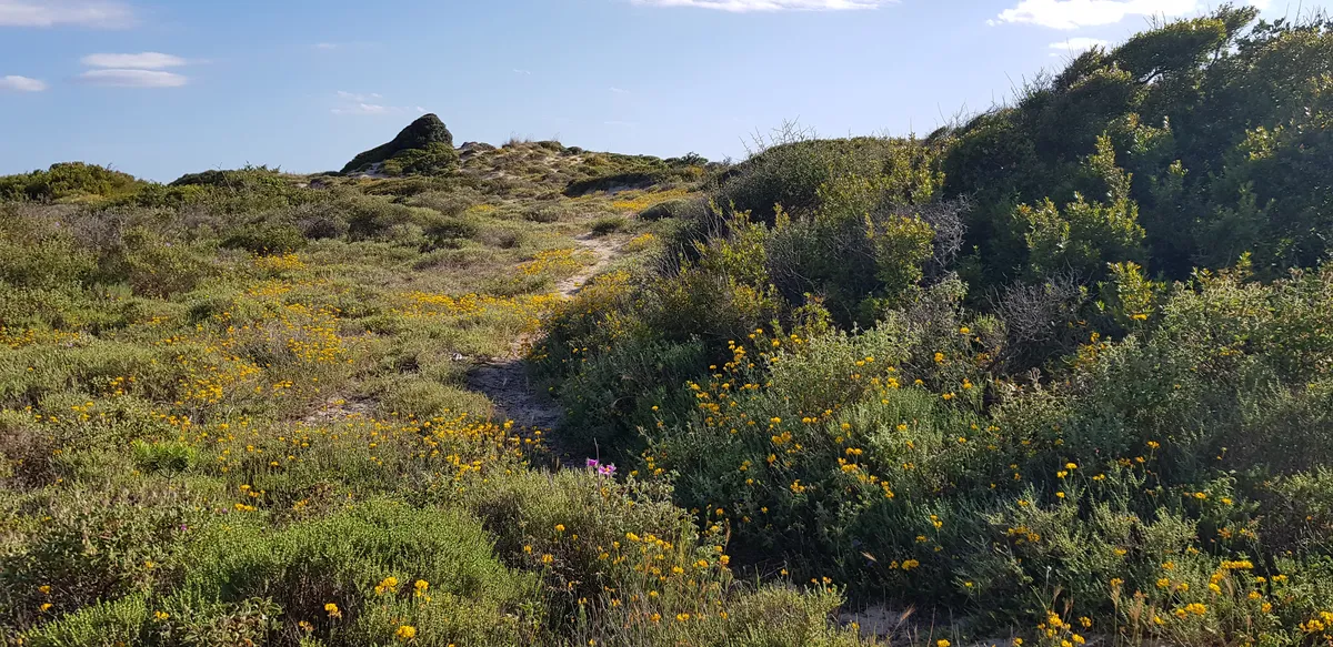 11f8d247b49b813542f87e8191e243b458eba970