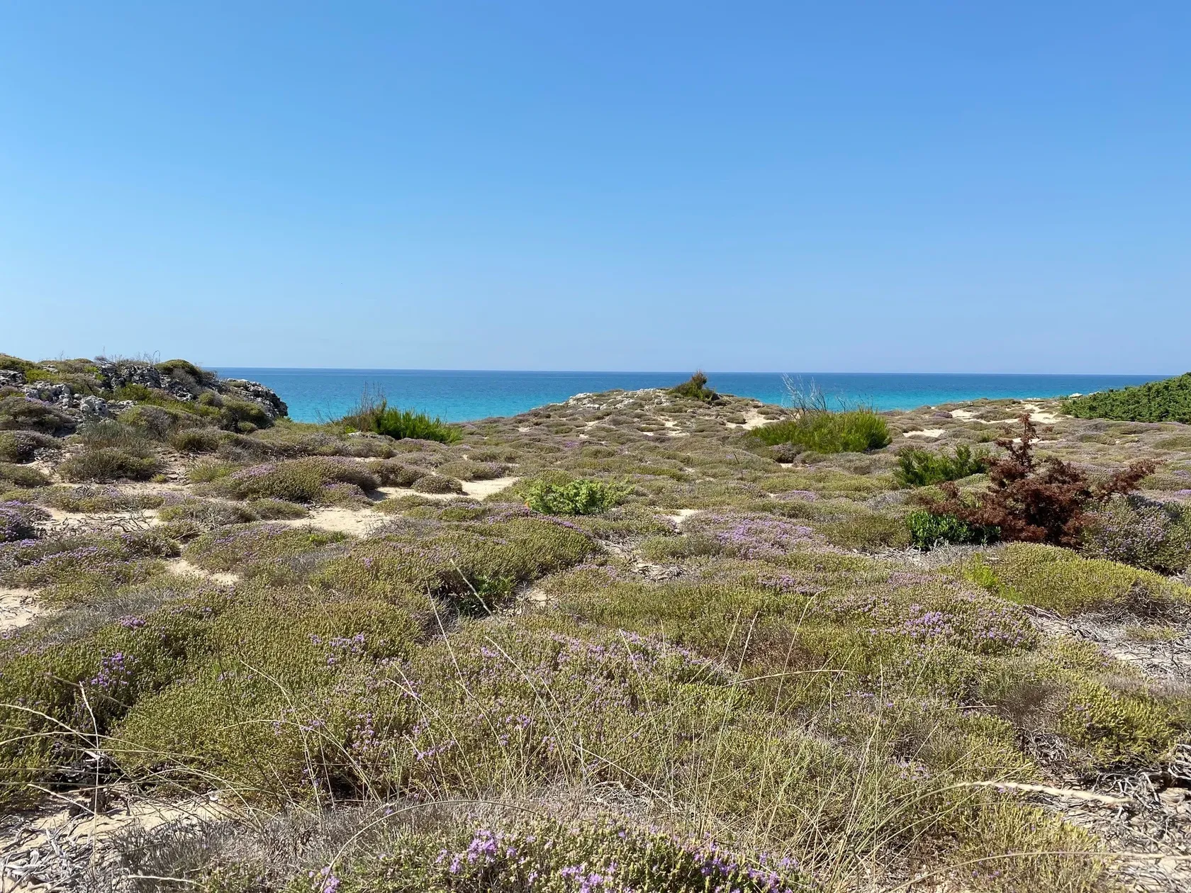 3f12b0384ef80ea58fc73c78474304e3c2dfa56d