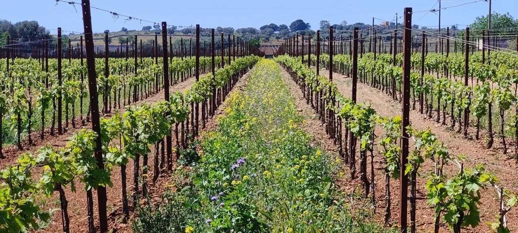 45f2aaf86bf286f719444df20beb888ea0fd2ffd