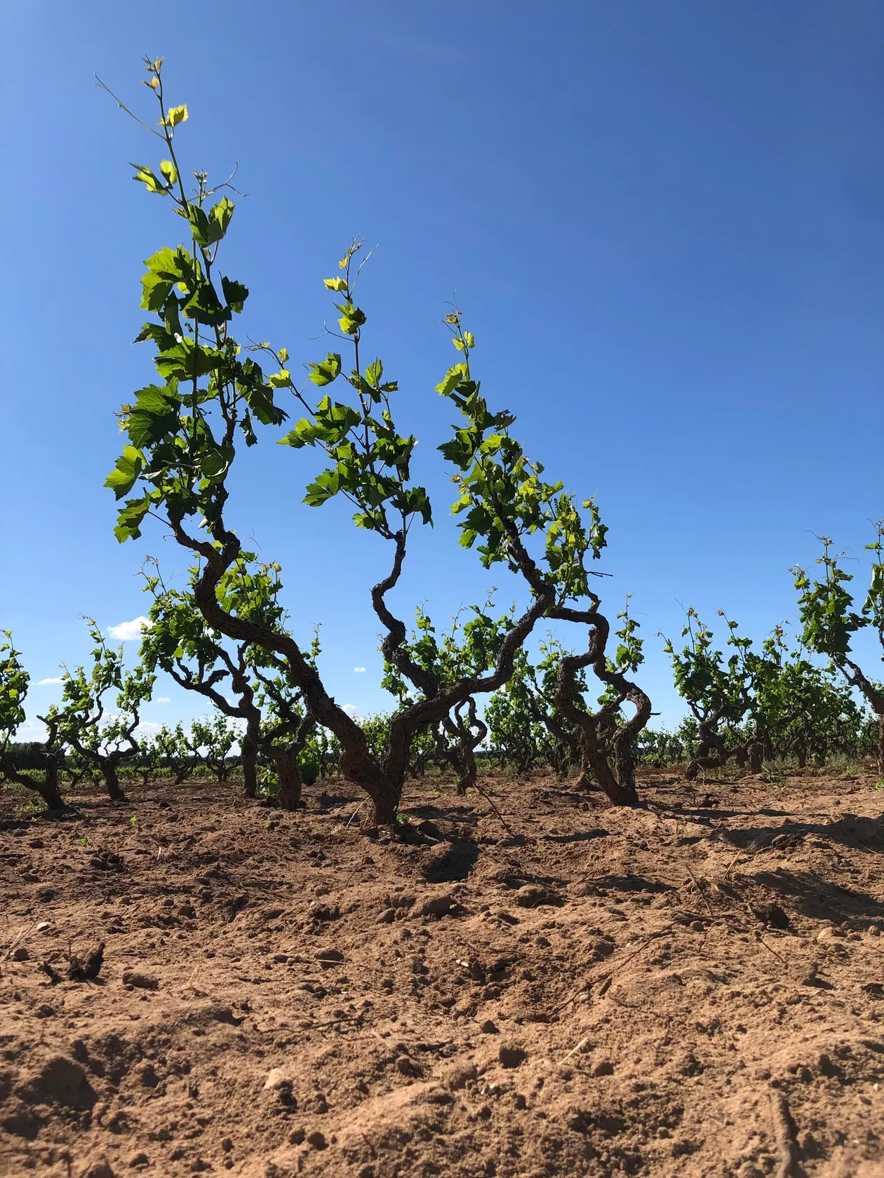 5316b5c80ddabd41b07eb7eb5b4116cfef92aec3