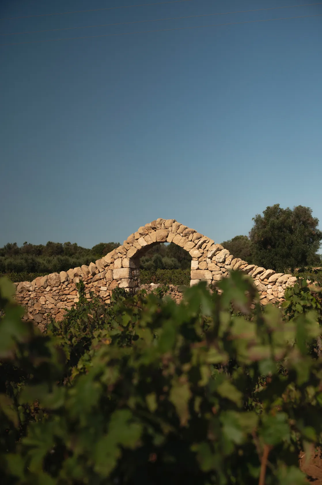 808ddaa8eeaeff719cf659370525462863380761