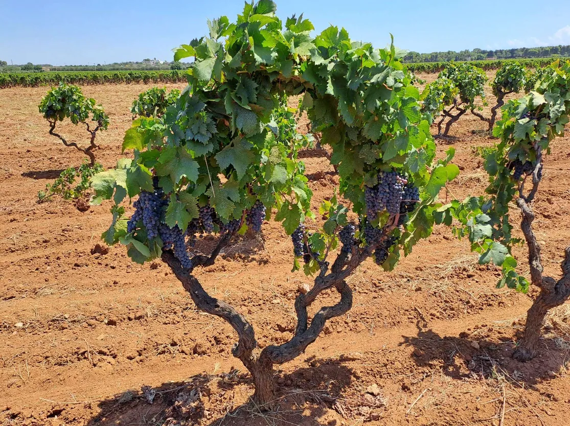 873ee7a38ddccdb56b54cc99e3519505d65c8b51