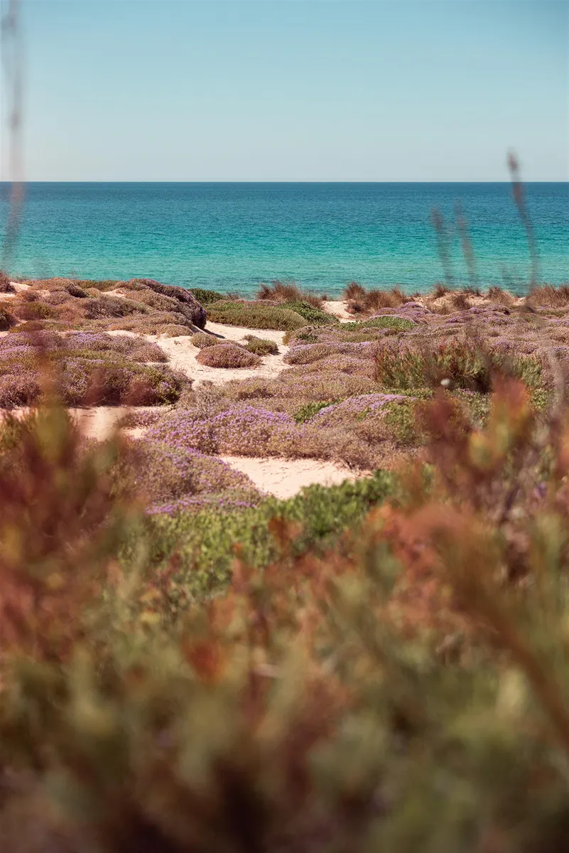 909a7d6b47aa0dbffc3e84725cc43f590bfbad52