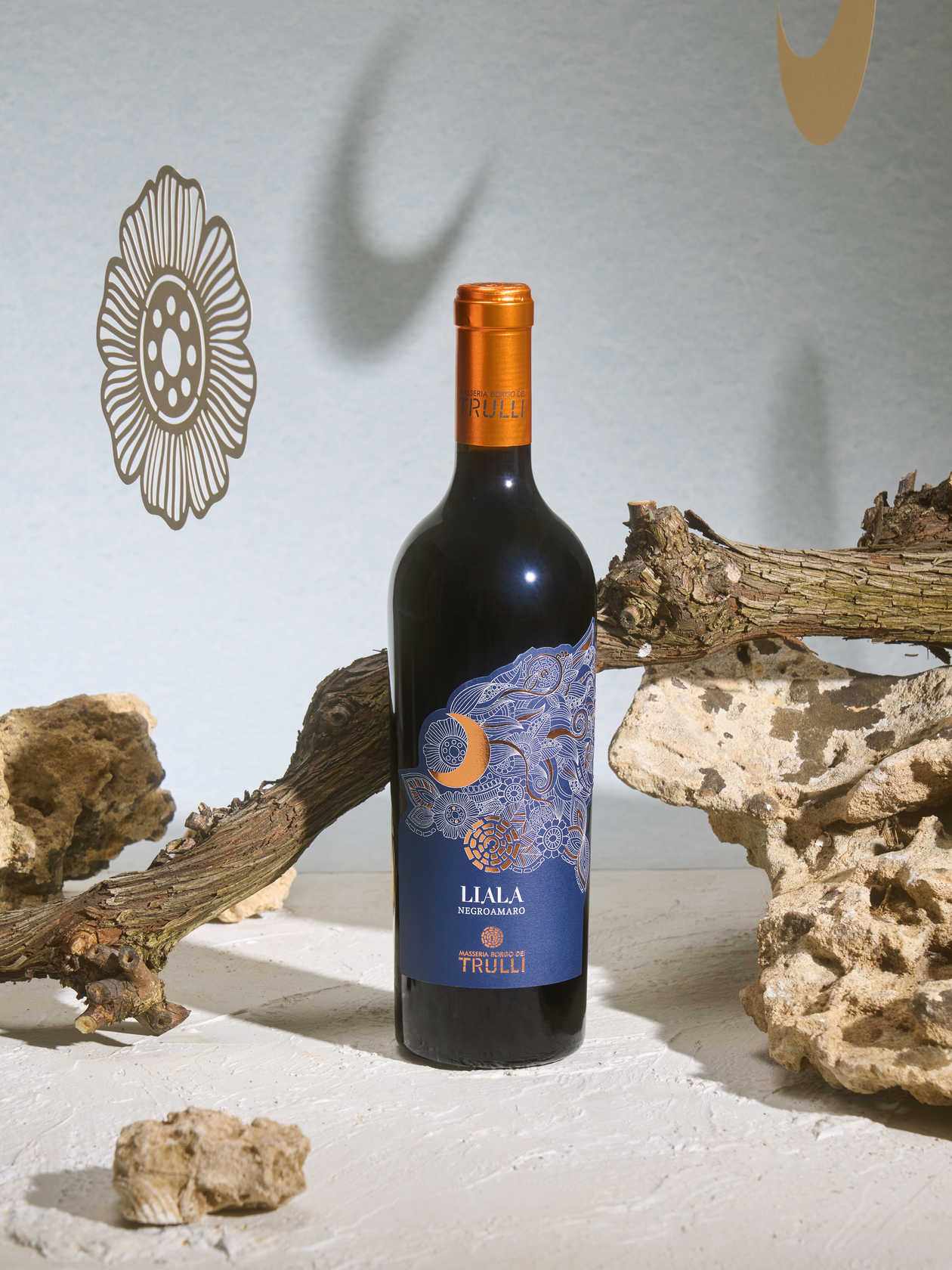 MASSERIA BORGO DEI TRULLI0065