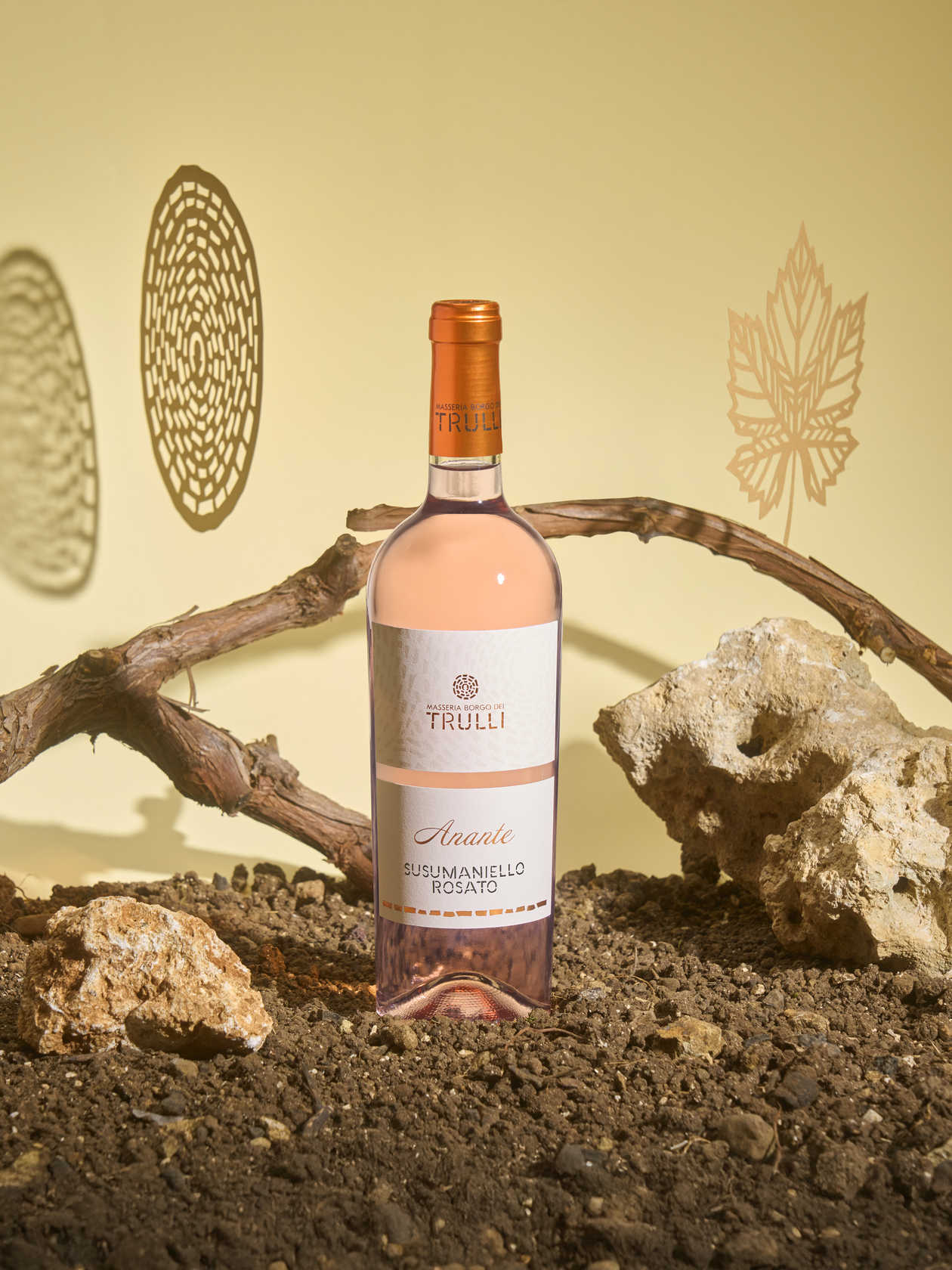 MASSERIA BORGO DEI TRULLI0189