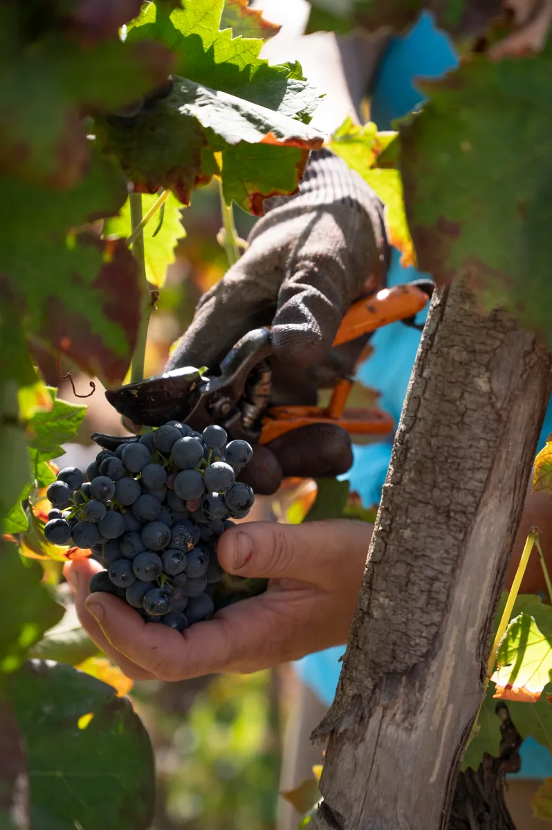 ac2e4f2cf09c02ef813f47935616dd26489e3fc1