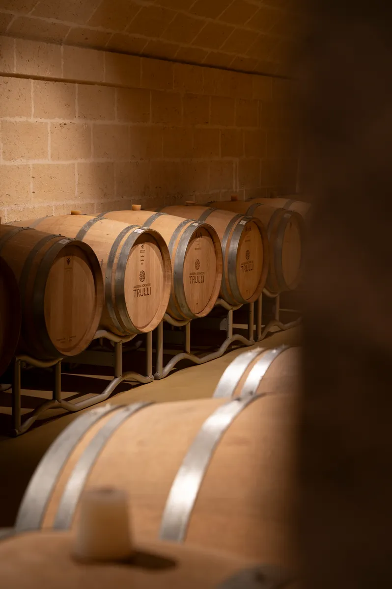 c52a50176ab3241e4e767da3ff10a372adb822fd