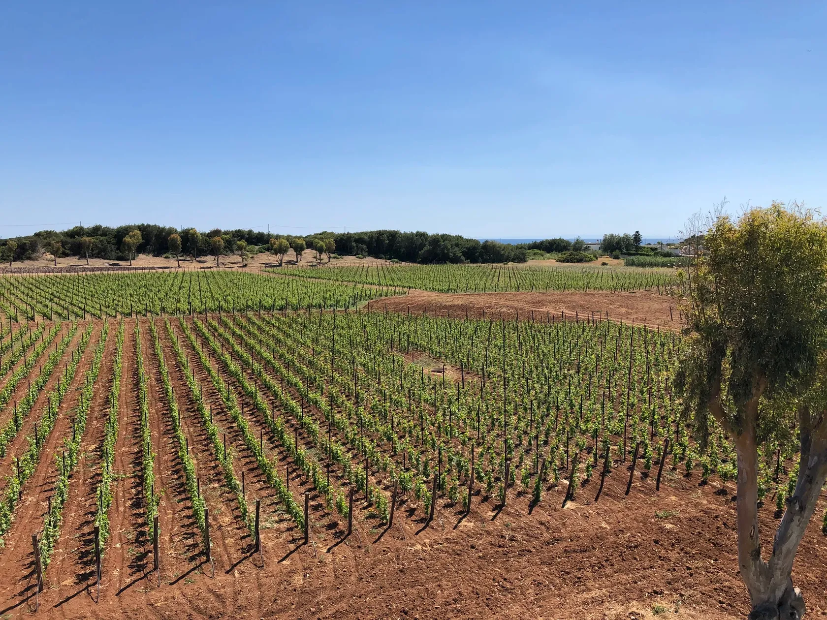 cfeb088d5e6b3f38d5b93eedb7906ede6653b007