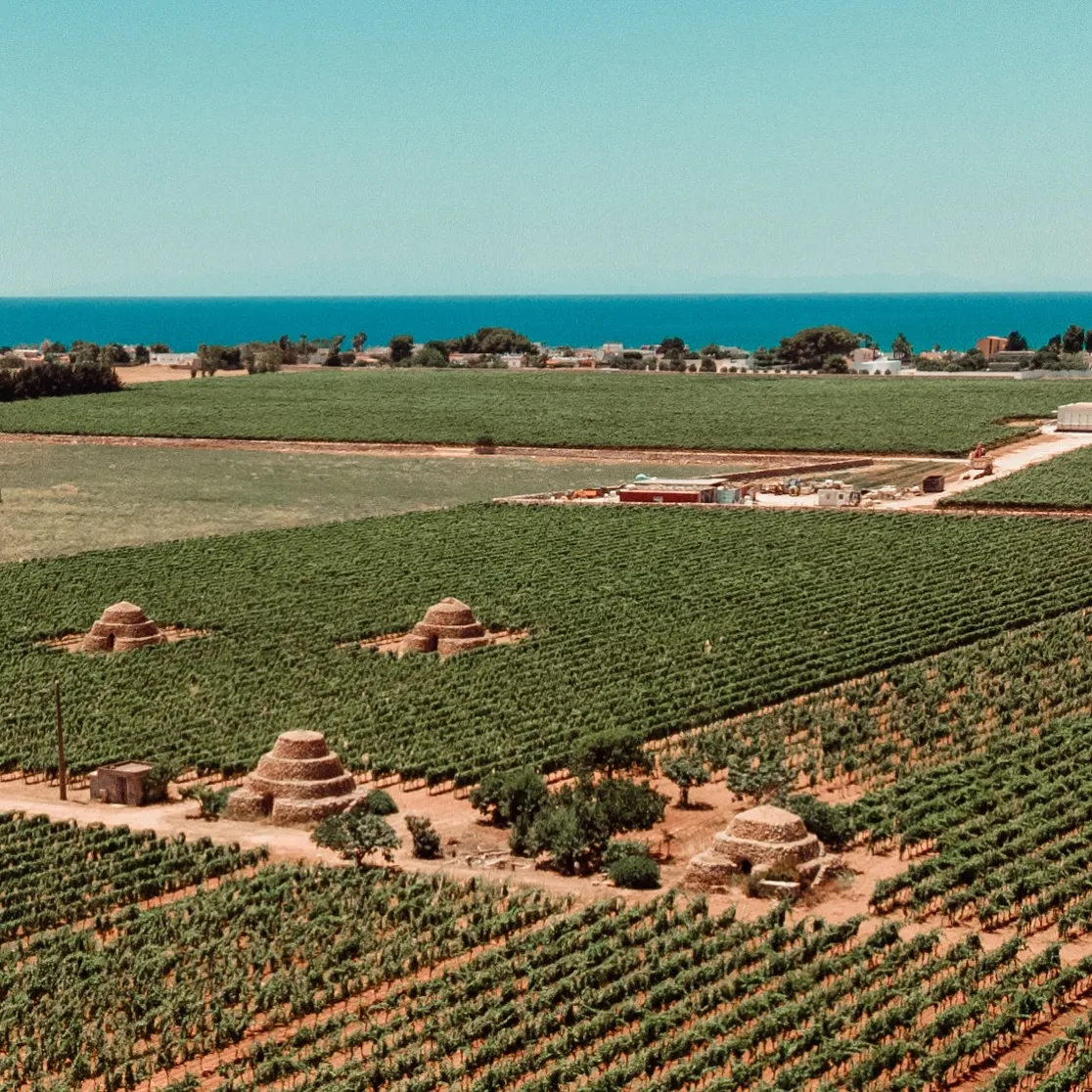 d50d93079d28cf87547a855b5b907ac87b7a9f8f