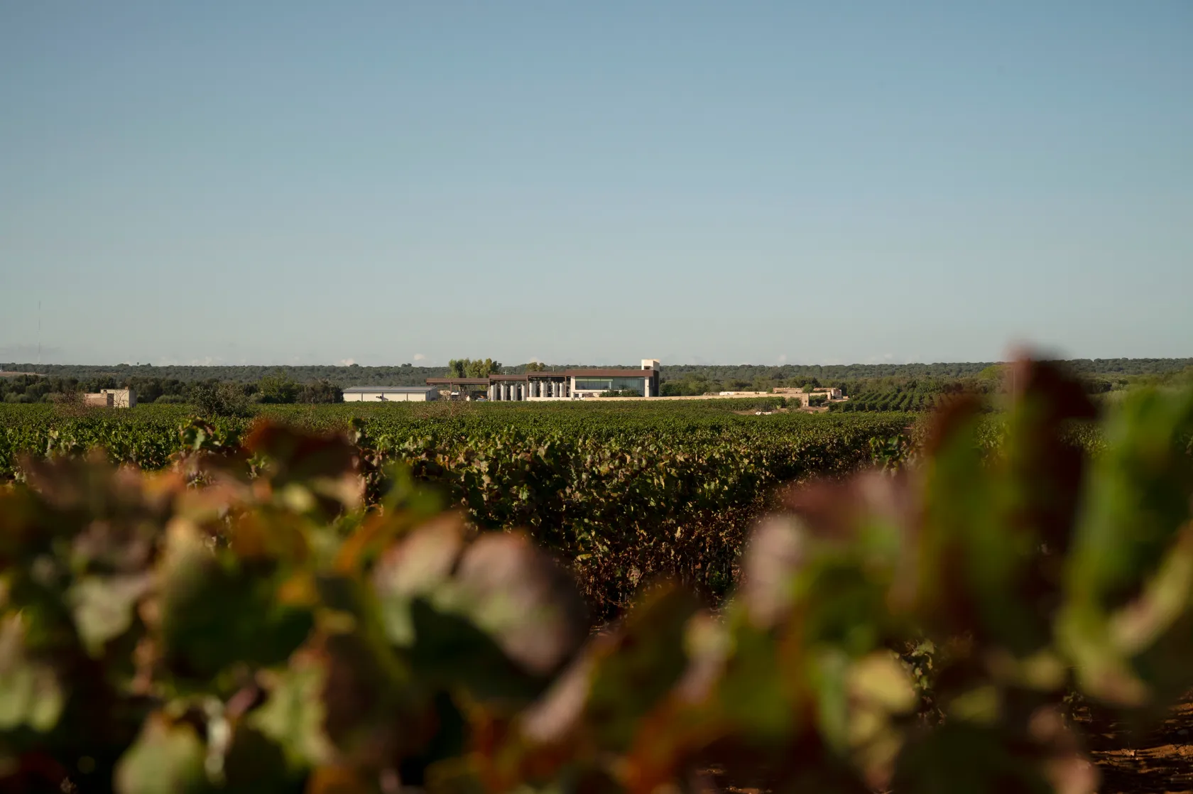 db44717b89201e763412a38bfc4bc9907b3b0058