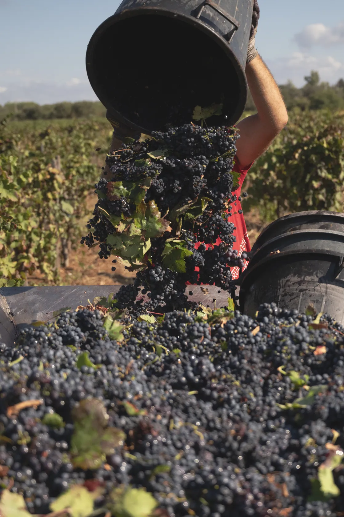 f10d0ee2b6c836521437404cdeba7ce2bb516995