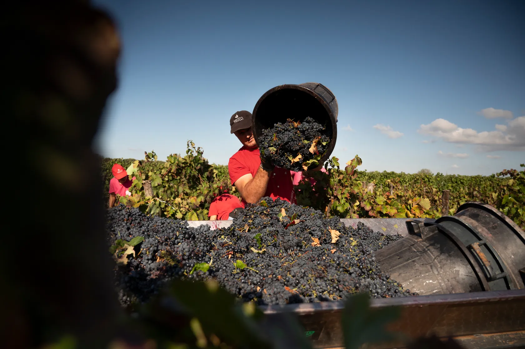 f5701afade68c667a66fdcd43ec77d32428bd846